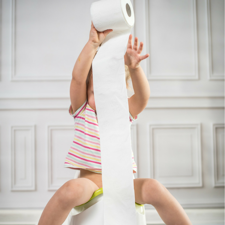 trouble shoot potty training before you begin