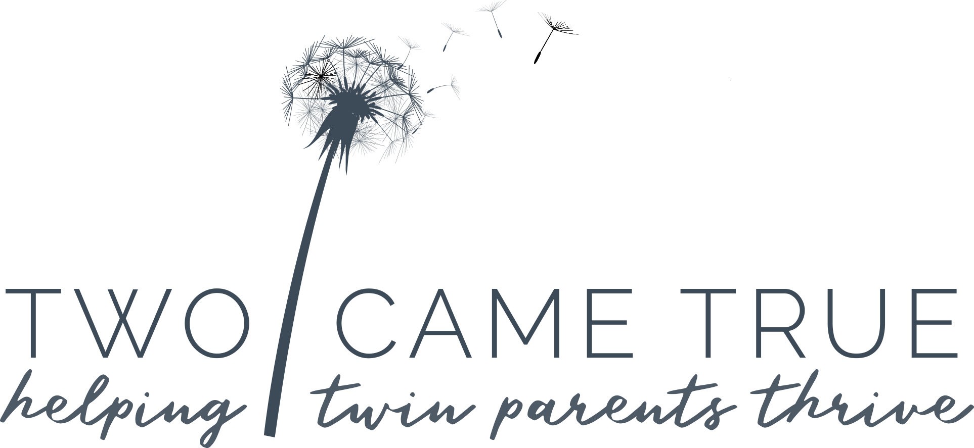 Two Came True – Helping Twin Parents Thrive