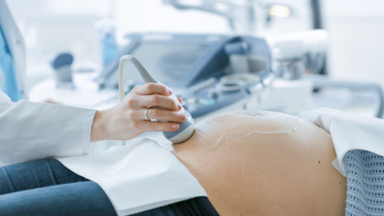 prenatal care in twin pregnancy
